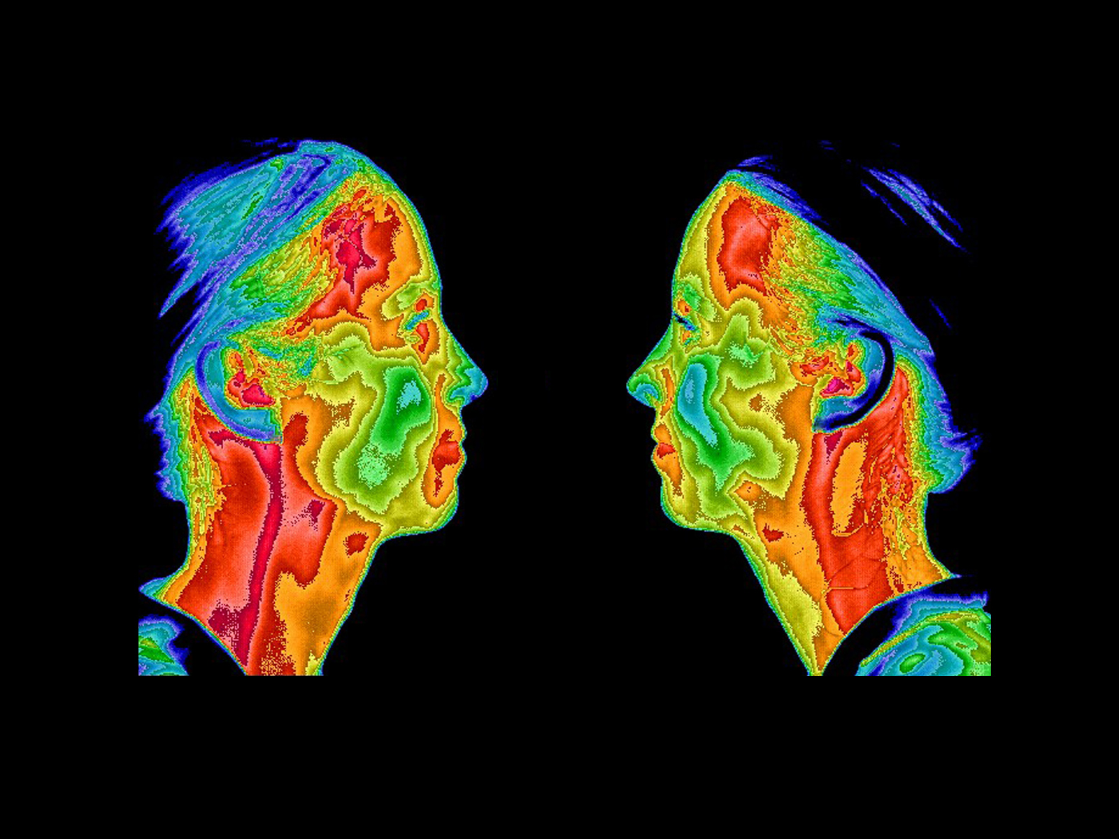 Thermogram of faces